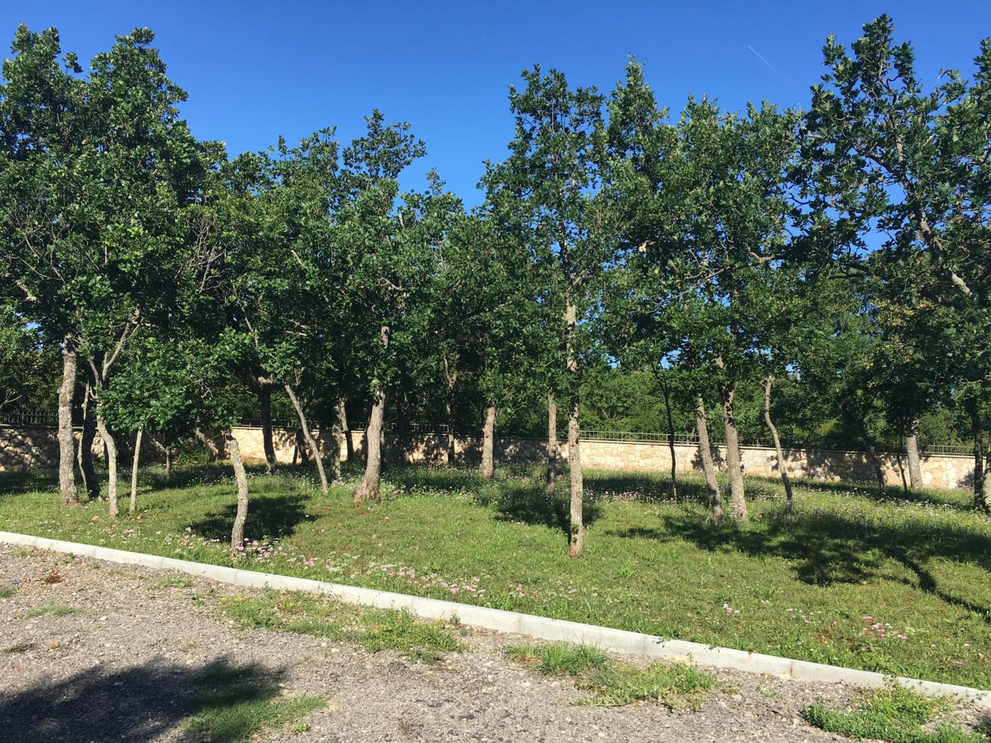Micanovi Dvori Mobile Home Village Zrmanja Obrovac Exteriér fotografie